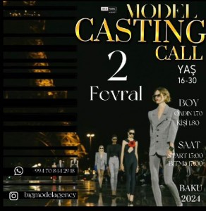 Big Model Agency