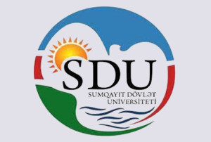 SDU_logo_160120