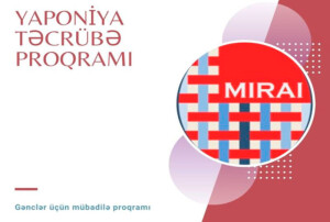 Mirai_221220